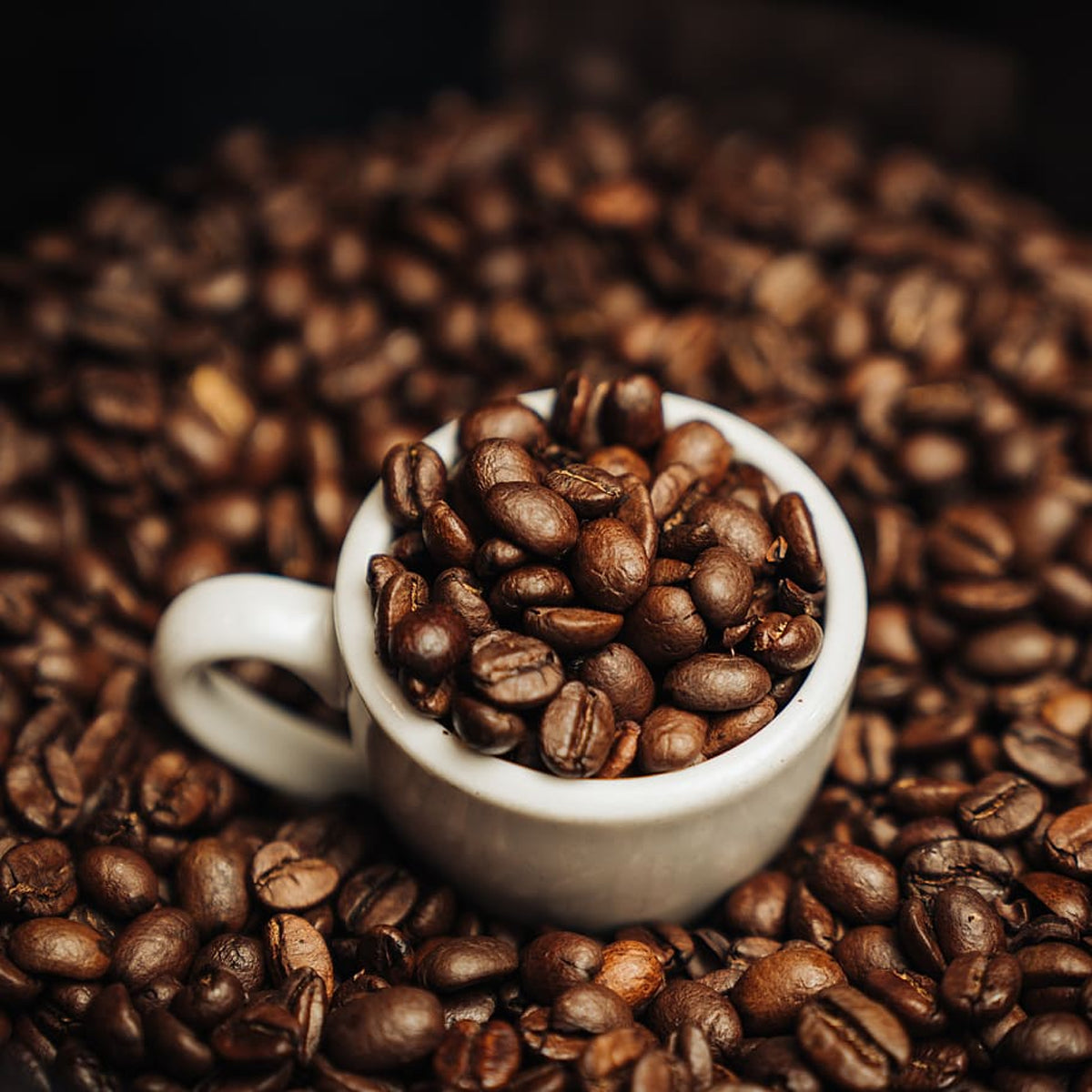 Coffee Shoppe